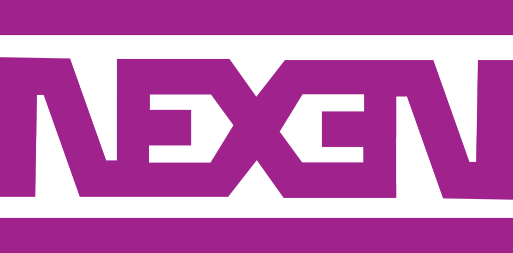 шины Nexen